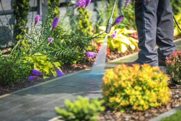  Lakehurst, NJ Pressure Washing Pros