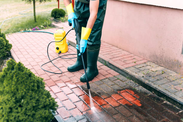 Best Soft Washing for Delicate Surfaces in Lakehurst, NJ
